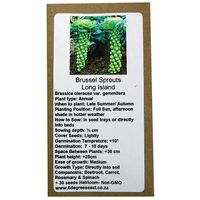 6 Degrees East Heirloom Veg Seeds - Brussels sprouts - Long Island